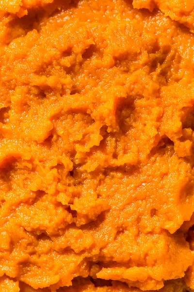 Organic Raw Orange Pumpkin Puree Bowl — Stock Photo, Image
