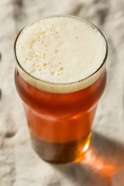 Boozy Cold Dark Brown Craft Beer Pint Glass — Stock fotografie