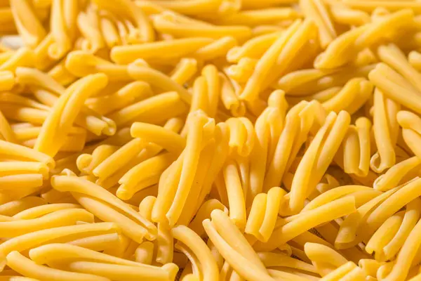 Homemade Dry Casarecce Pasta Bowl — Stockfoto
