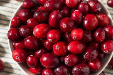 Bir kase içinde ham organik kırmızı kızılcık