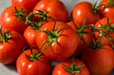 Organik Kırmızı Sarmaşık Olgunlaşmış Domatesler Yemeye Hazır