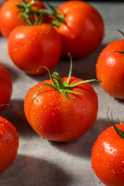 Organiczne Czerwone Wino Dojrzewające Pomidory Gotowe Spożycia — Zdjęcie stockowe