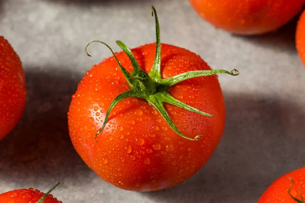 Organic Red Vine Ripened Tomatoes Ready Eat — Stock Photo, Image