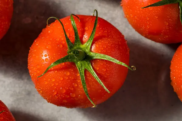 Βιολογικό Κόκκινο Κρασί Ώριμες Ντομάτες Έτοιμες Για Κατανάλωση — Φωτογραφία Αρχείου