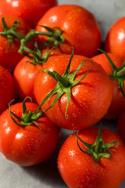 Βιολογικό Κόκκινο Κρασί Ώριμες Ντομάτες Έτοιμες Για Κατανάλωση — Φωτογραφία Αρχείου