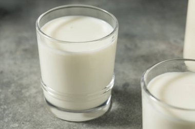 Organik Çimen Koca İnek Sütünü Bardakta Besledi