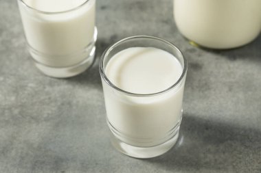 Organik Çimen Koca İnek Sütünü Bardakta Besledi