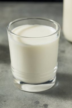 Organik Çimen Koca İnek Sütünü Bardakta Besledi