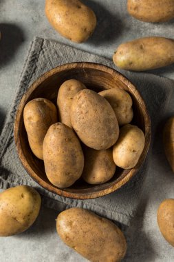Çiğ organik Idaho Russet Patatesleri