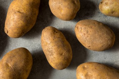 Çiğ organik Idaho Russet Patatesleri