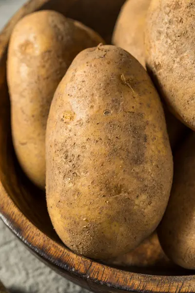 Raw Organic Idaho Russet Potatoes Bowl — Stock Photo, Image