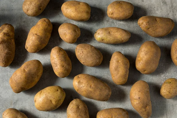 Raw Organic Idaho Russet Potatoes Bowl — Stock Photo, Image