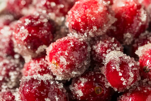 Organic Homemade Sugared Sweet Cranberries Christmas Royalty Free Stock Images