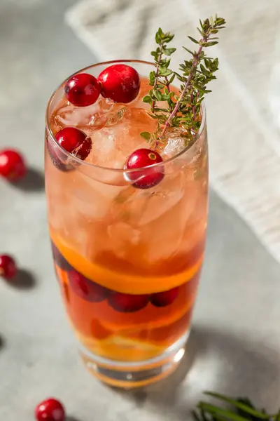 Cranberry Natal Sob Coquetel Visco Com Gin — Fotografia de Stock