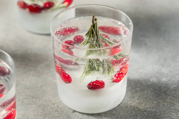 Soğuk Tazeleyici Noel Kar Küresi Kokteyli Biberiye Cin Toniği — Stok fotoğraf