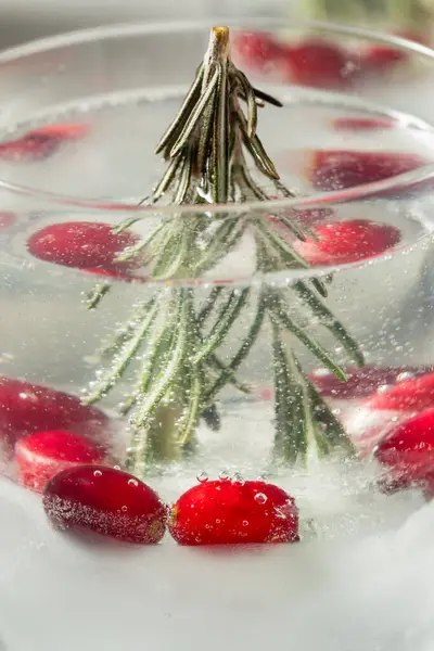 Cocktail Refrescante Frio Globo Neve Natal Com Rosemary Gin Tonic — Fotografia de Stock
