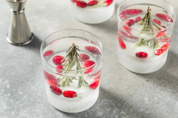Cold Refreshing Christmas Snowglobe Cocktail Rosemary Gin Tonic — Stock Photo, Image