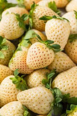 Organik Çiğ Beyaz Çilek Kasesi