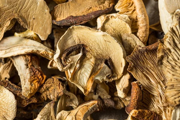 Organic Raw Dried Mushrooms Bowl — Stock Photo, Image