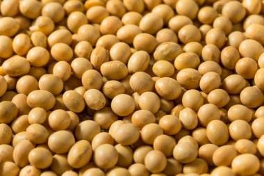 Kurutulmuş Organik Soya Fasulyesi Ahşap bir kasede