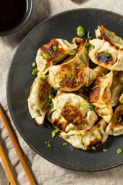 Soya soslu Asya Dumpling Pot Etiketleri Gyoza