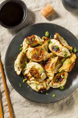 Soya soslu Asya Dumpling Pot Etiketleri Gyoza