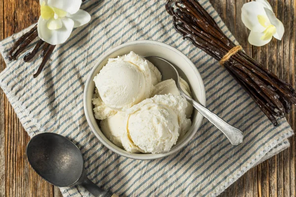Sweet Homemade Vanilla Bean Ice Cream Gelato in a Bowl