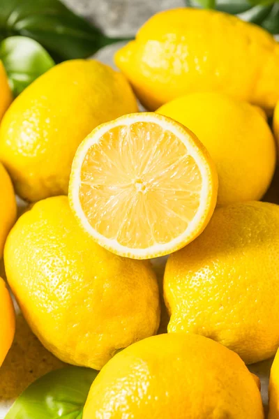 Желтые Бессемянные Лимоны Пучке — стоковое фото