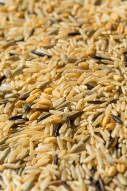 Kuru Çiğ Organik Pirinç Kasesi