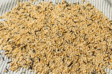 Kuru Çiğ Organik Pirinç Kasesi