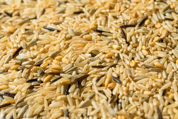 Dry Raw Organic Wild Rice Bowl — Stock Photo, Image