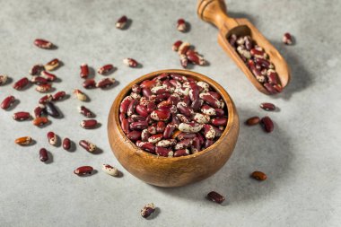 Kuru Organik Sığır Böbreği Kasedeki Fasulye