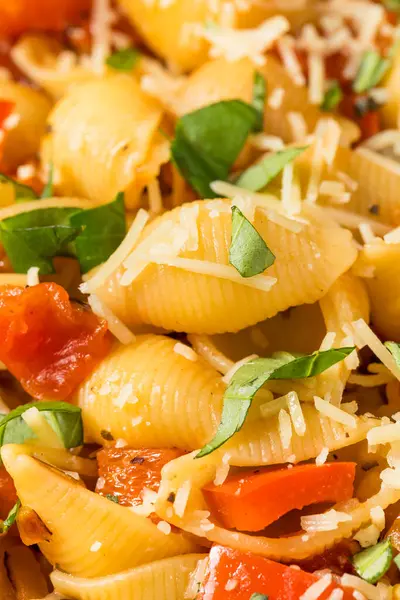 Italienische Hausgemachte Chonchiglie Pasta Mit Tomate Und Basilikum — Stockfoto