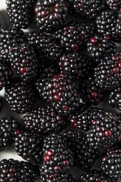 Organic Healthy Raw Blackberries Bowl — Stock Photo, Image