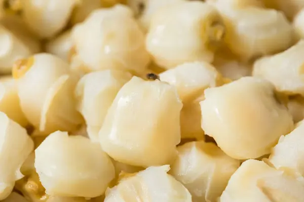 Raw Cooked White Mexikanska Hominy Corn Skål Royaltyfria Stockfoton