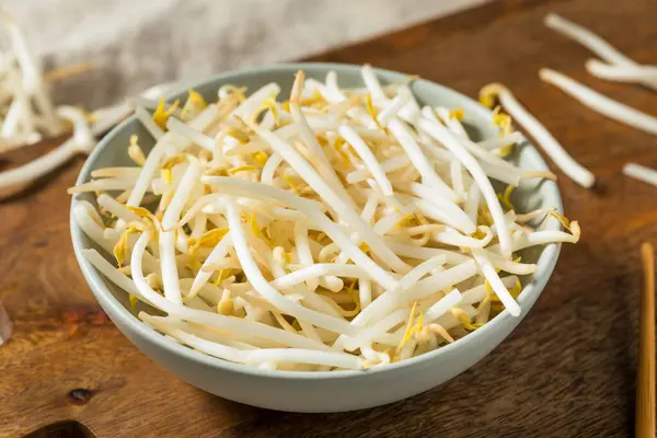 Organic Raw White Mung Bean Sprouts Bowl Stock Picture