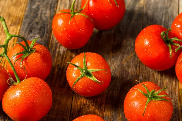 Röd Ekologisk Råbiff Tomater Bunt — Stockfoto
