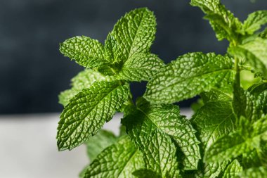 Çiğ Organik Yeşil Nane Yaprakları Birlikte Pişirmeye Hazır