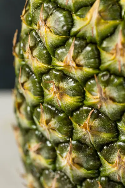 Stock image Organic Raw Sweet Pineapple Fruit Ready to Eat