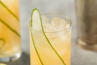 Soğuk Ayyaş İngiliz Bahçe Kokteyli Salatalık ve Cin