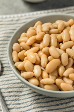 Sağlıklı Organik Beyaz Cannelloni Fasulyeleri Kasede