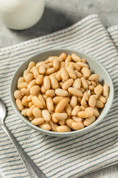 stock image Healthy Organic White Cannelloni Beans in a Bowl