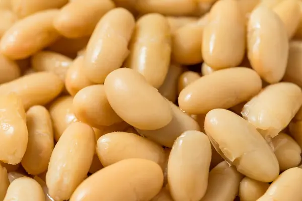 stock image Healthy Organic White Cannelloni Beans in a Bowl