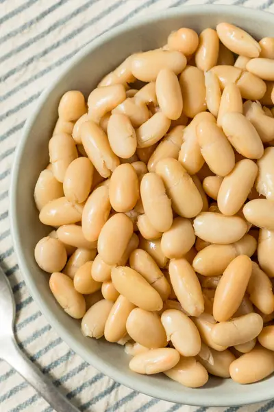 stock image Healthy Organic White Cannelloni Beans in a Bowl