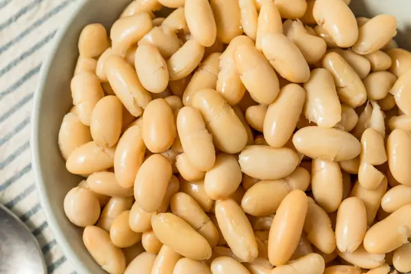 stock image Healthy Organic White Cannelloni Beans in a Bowl