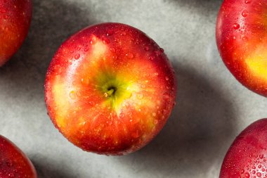 Organik Çiğ Kozmik Kıtır Elma Yemeye Hazır Bir demet