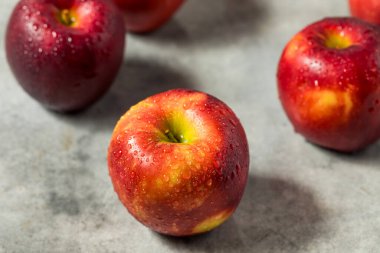 Organik Çiğ Kozmik Kıtır Elma Yemeye Hazır Bir demet