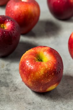 Organik Çiğ Kozmik Kıtır Elma Yemeye Hazır Bir demet