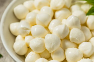 Organik Beyaz Mozzarella İnci Peyniri Kasede