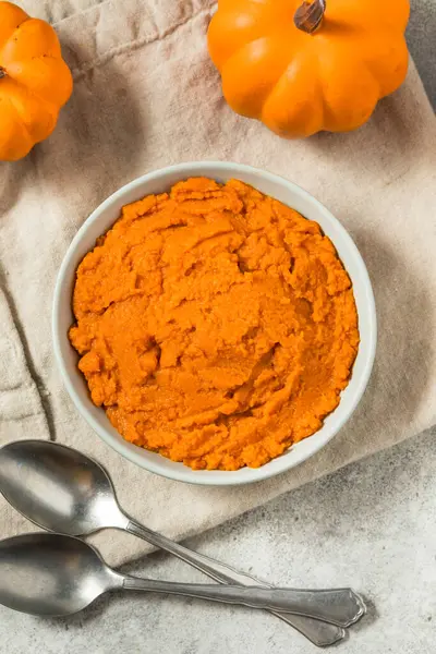 Stock image Organic Raw Orange Canned Pumpkin Puree in a Bowl to Cook With